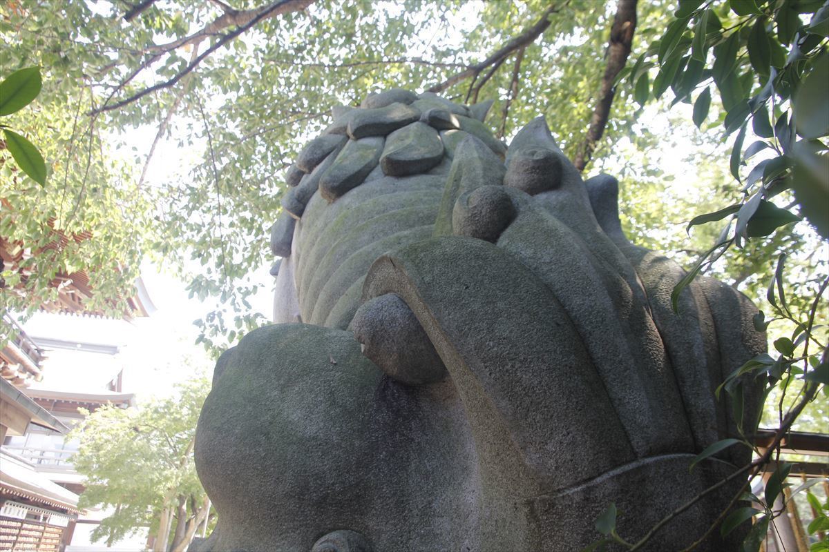 Samukawa Shrine 寒川神社の狛犬 ＜神奈川県寒川町＞: 阿吽探訪 狛犬と仁王像4