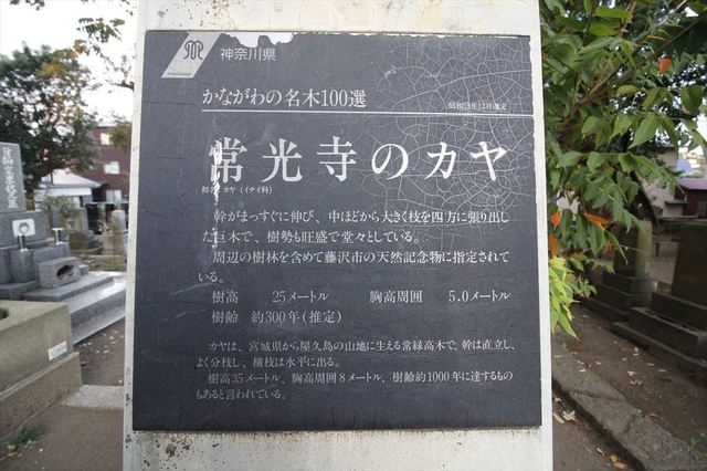 IMG105_5488_1200.JPG